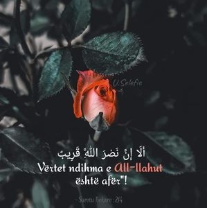 Meet your Posher, Lorina